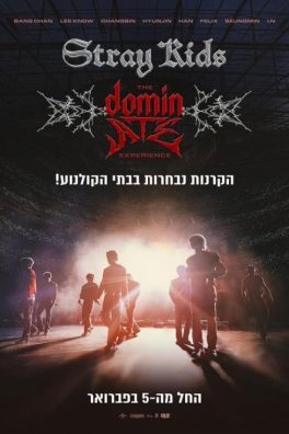 Stray Kids: The dominATE Experience