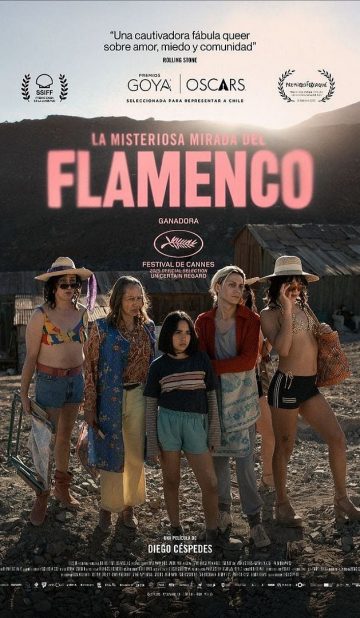 La misteriosa mirada del flamenco