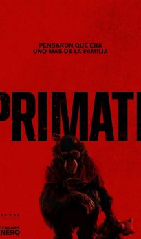 Primate