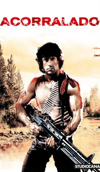 Charlas de Cine: Acorralado (VOSE)