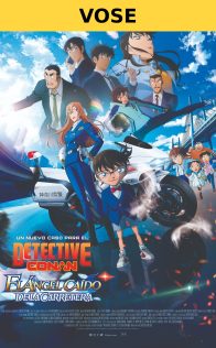 Detective Conan: El ángel caído de la carretera (VOSE)