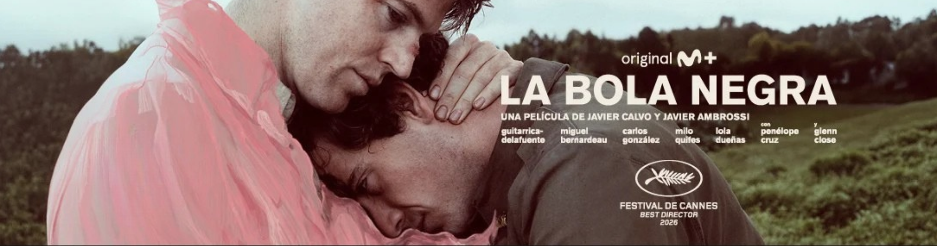 La bola negra